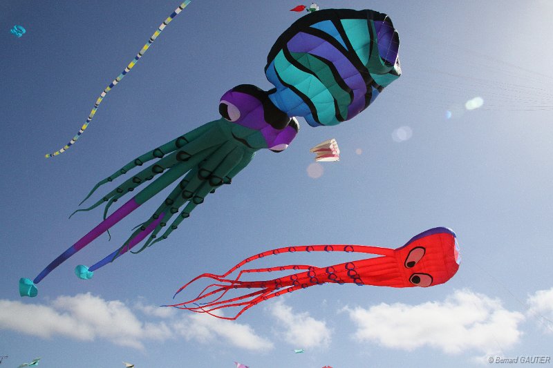 Festival Cerfs Volants Chatelaillon 2010_008.JPG